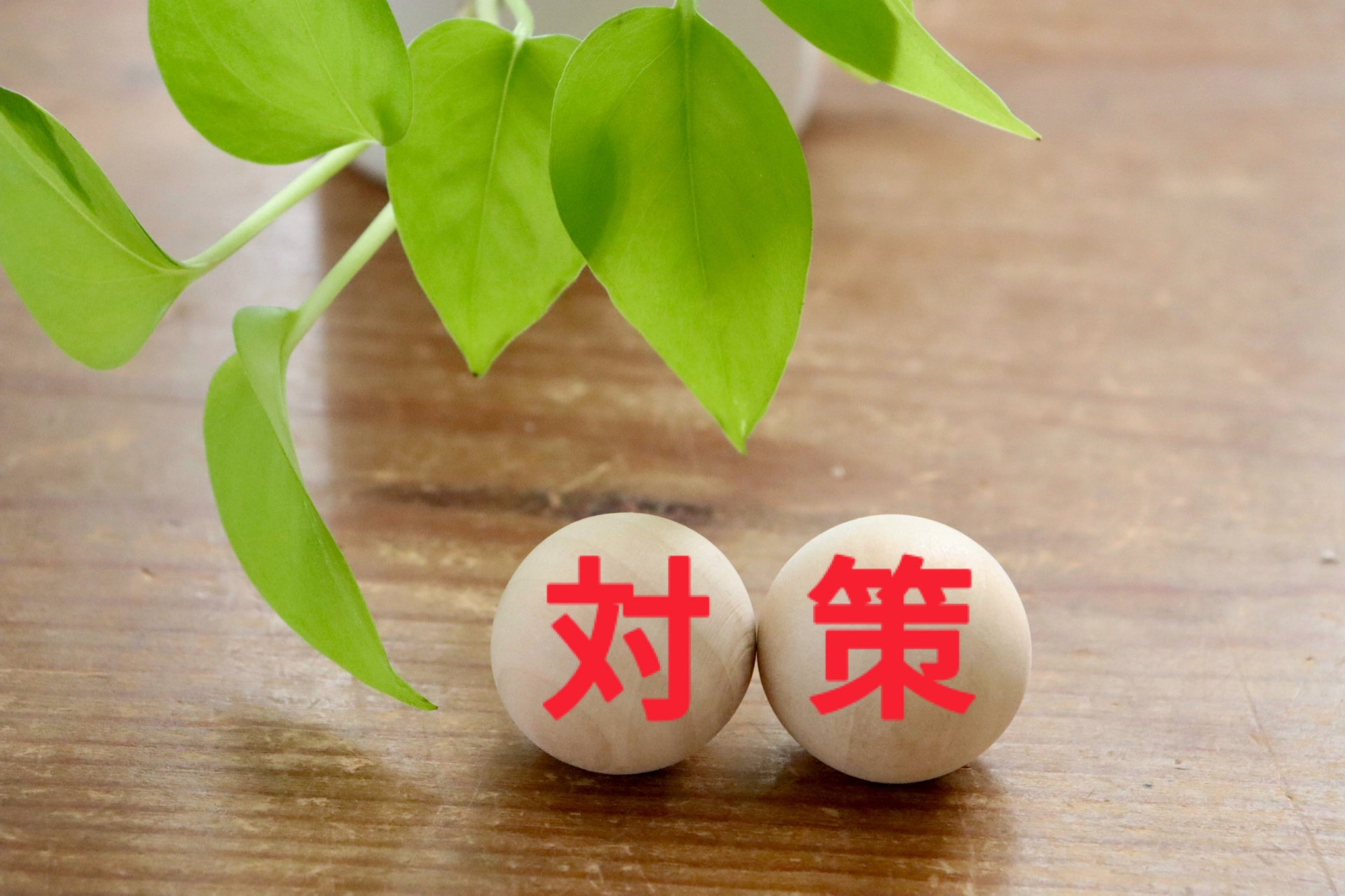 対策