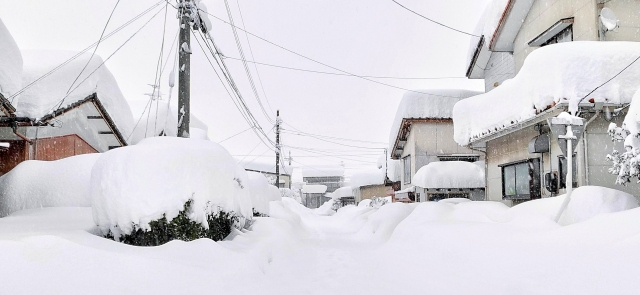 雪害